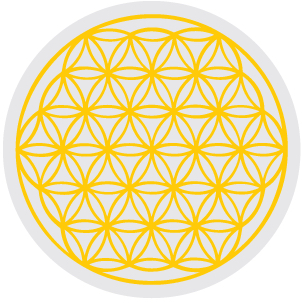 The Flower of life overlapping circles 6 around a central one and 13 around the 6