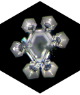 Water Crystal produced 3 minutes in the Cotula Golden Ratio bowl, usng Masaru Emoto's method