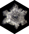 Emoto Water Crystal produced by 5L Beauty Carafe in golden ratio proprotions with platinum flower or life by Natures Design