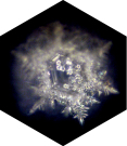 Emoto Water Crystal produced by 10L Universe Carafe in golden ratio proprotions with platinum flower or life by Natures Design