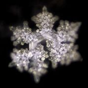 3 minutes in a Jasmina glass makes hexagonal Masaru Emoto Water Crystals like this