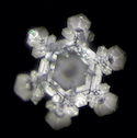 Emoto Water Crystal made in 3 minutes in Rubellum Wine Carafe